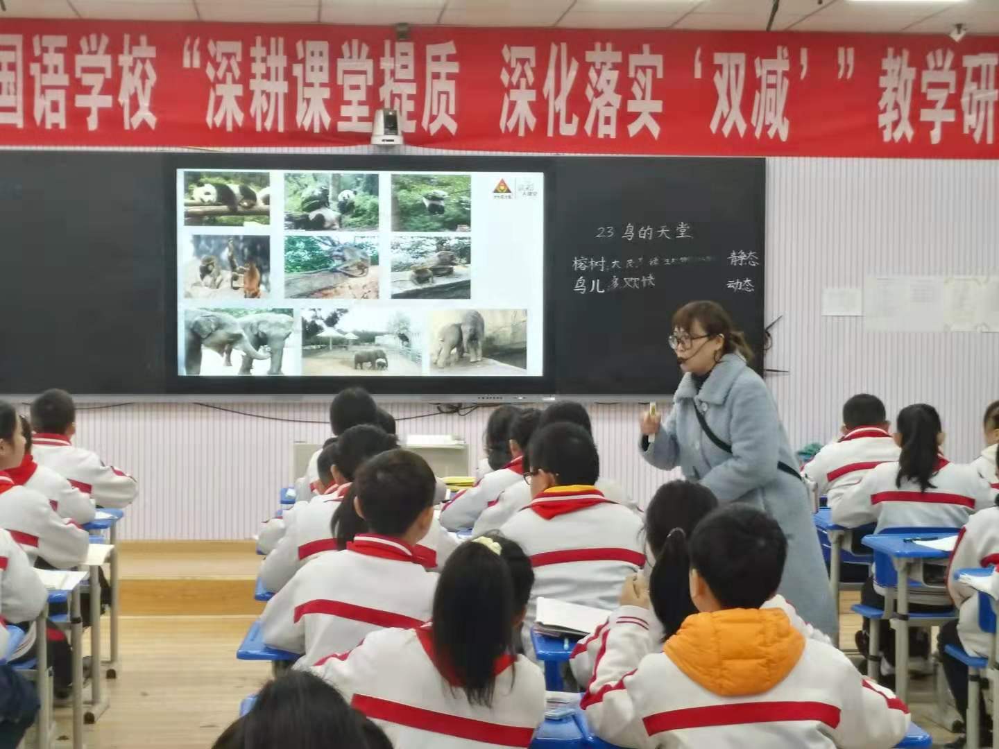 双减政策下如何提高课堂效率心得,双减提高课堂教学效率