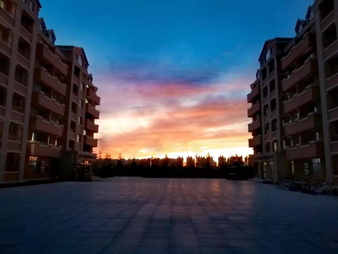 辽宁中医药大学杏林学院规模,辽宁中医学院杏林学院的排名