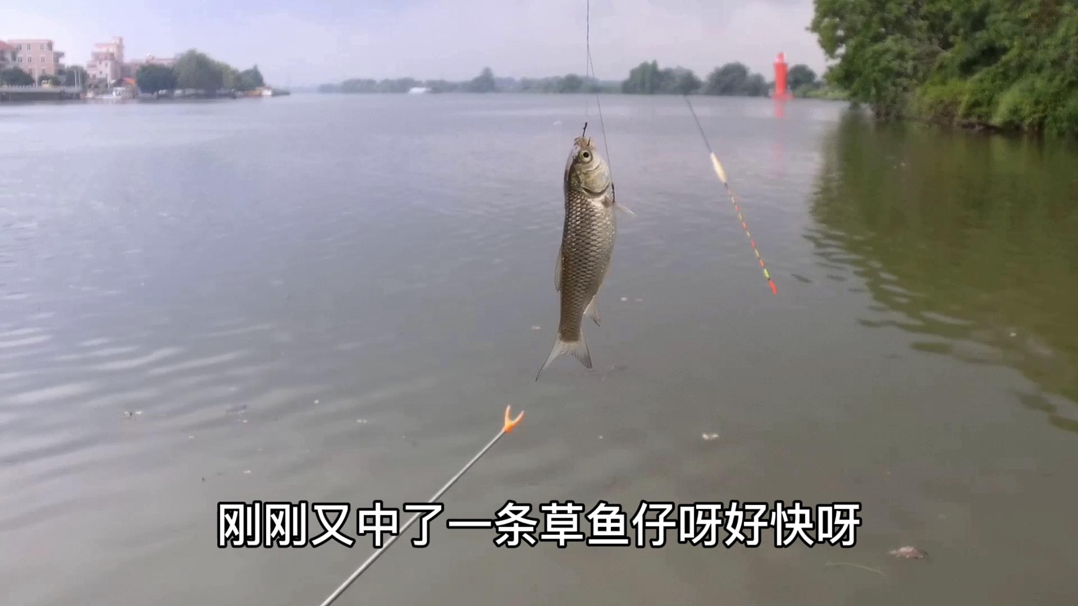 调平水时双钩压不下目数该怎么办,浮漂空钩调平水钓二目视频