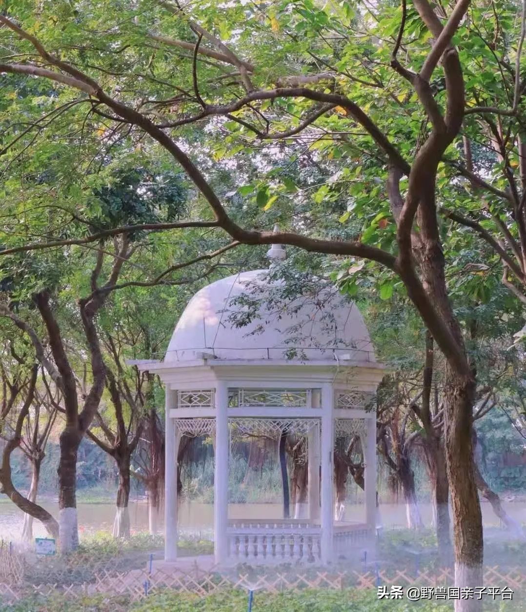 广州遛娃旅游推荐路线攻略,广州遛娃清单升级版