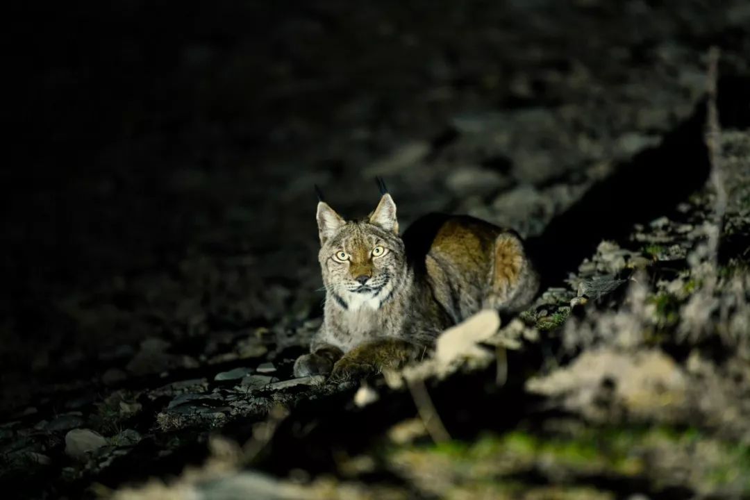 一座比珠穆朗玛峰还难登的雪山,有一座山比珠穆朗玛峰还要高