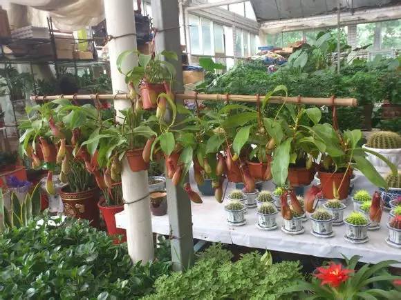 武汉攻略必去的一条街,武汉最神奇的区