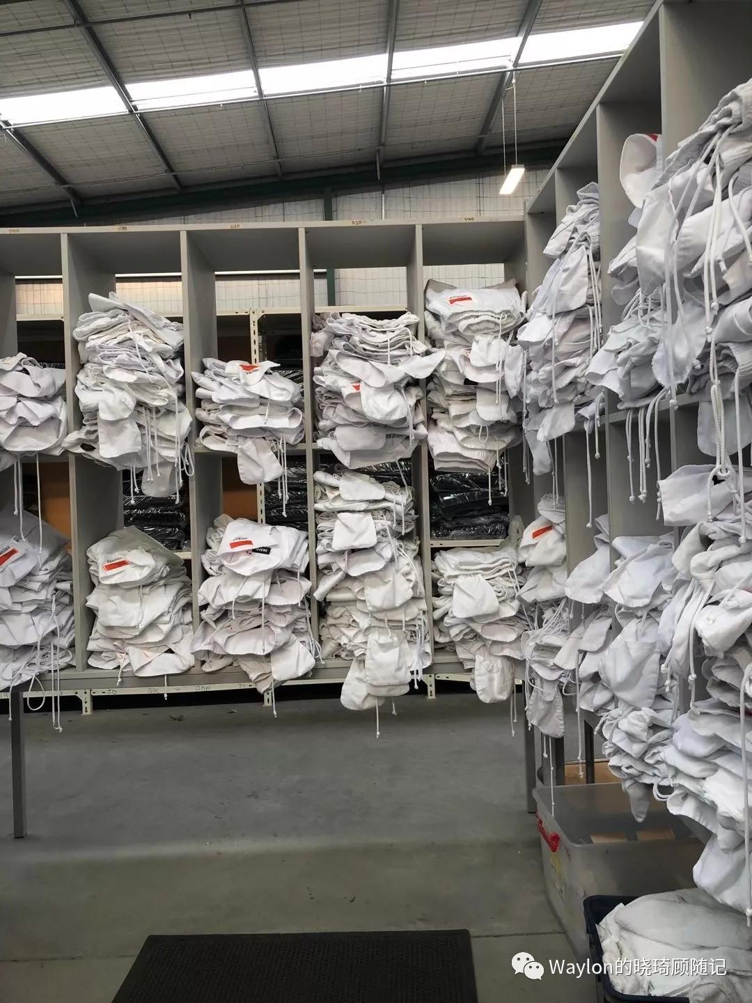 2019新西兰,2019年新西兰