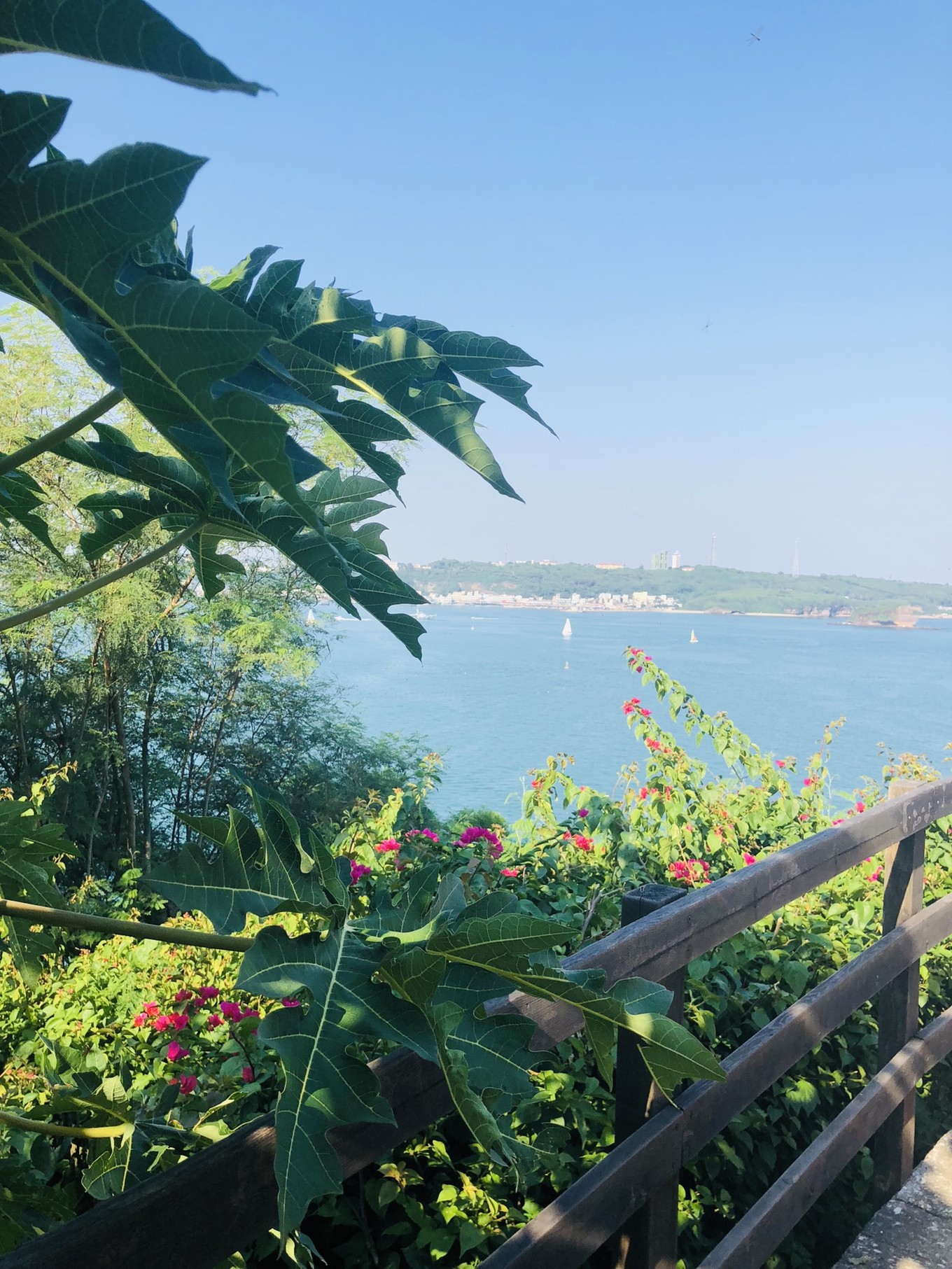 北海小众景点,北海合浦旅游小众景点大全