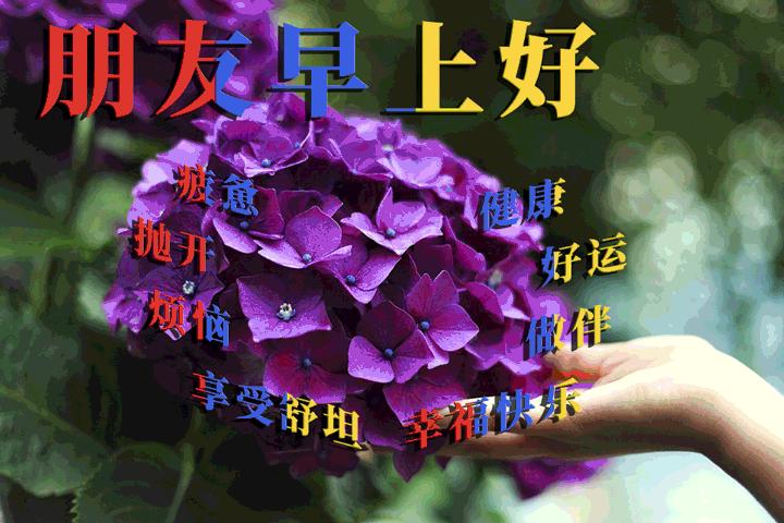 4月25日早安,4月25日早安问候图片