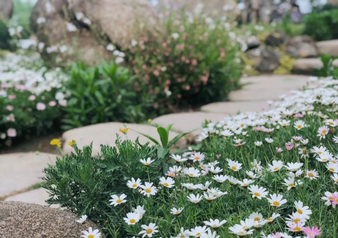 品牌公关是做什么的呢,品牌公关营销案例