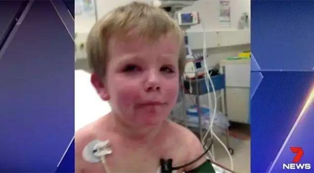 马桶里的蛇是真是假,马桶里的蜈蚣虫