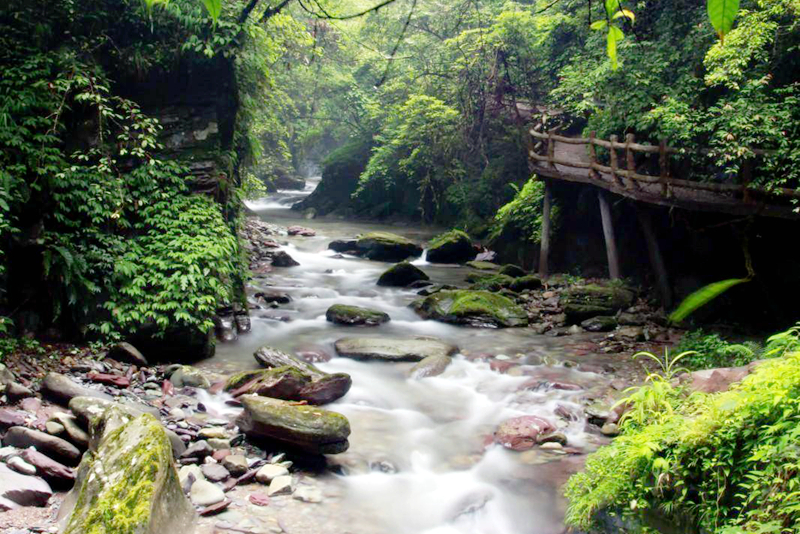 梵净山红云金顶往下看,贵州铜仁梵净山老金顶