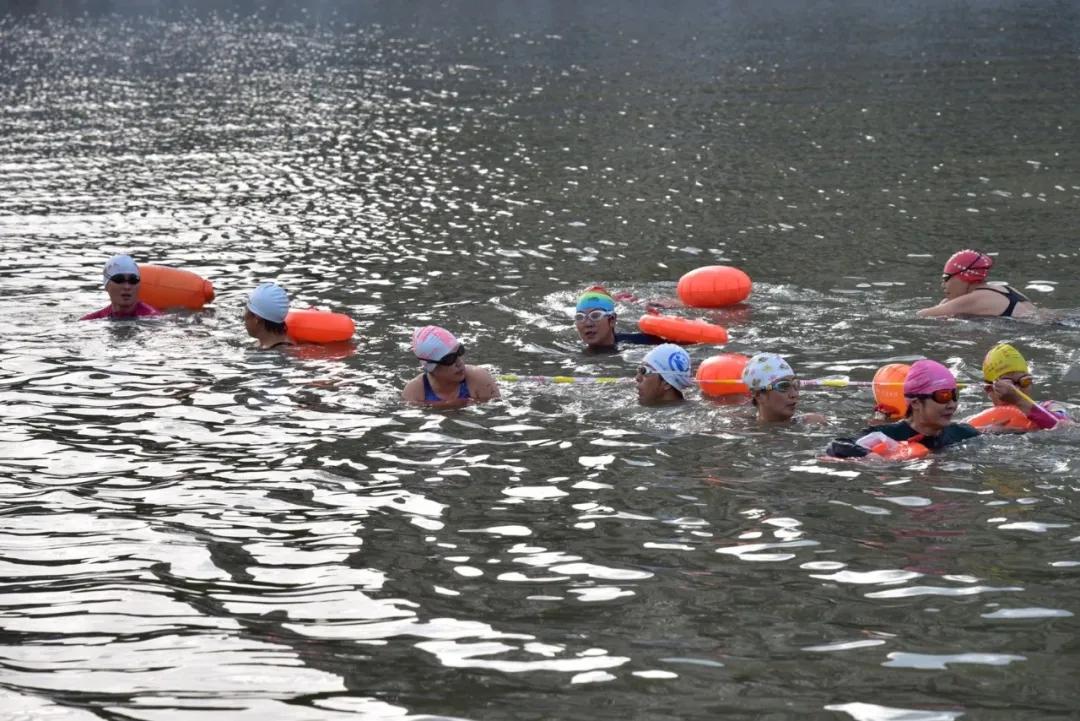 盐城第九届游泳比赛,2020年盐城市青少年游泳比赛通知