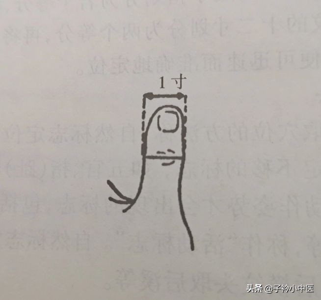 穴位的一寸是多长,人体穴位怎样确定找得准确不准确