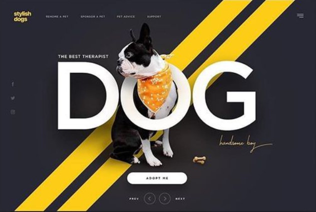 50套精美的ppt模板,从零开始学ppt模板