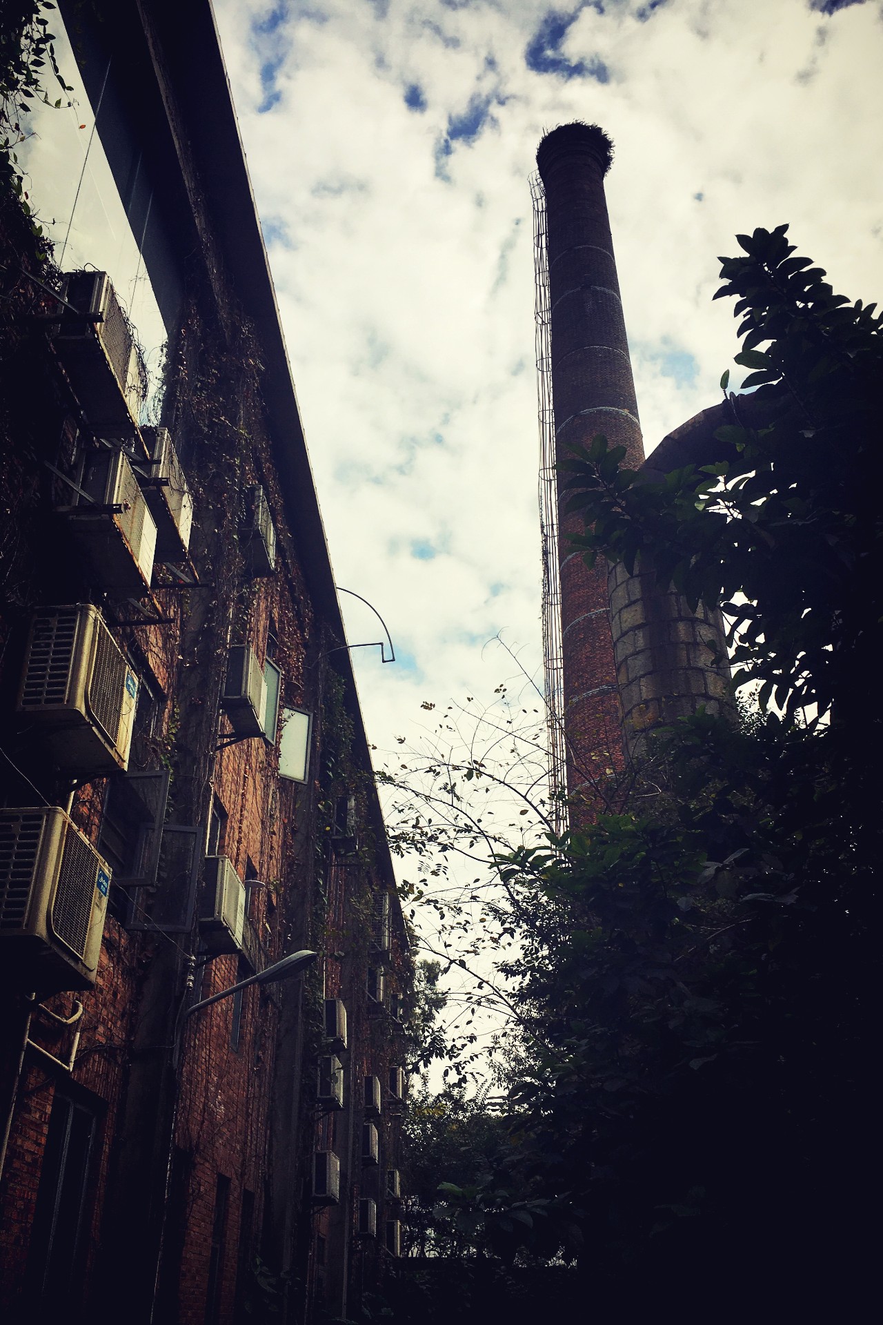 再见了，红专厂！十年期限已到...