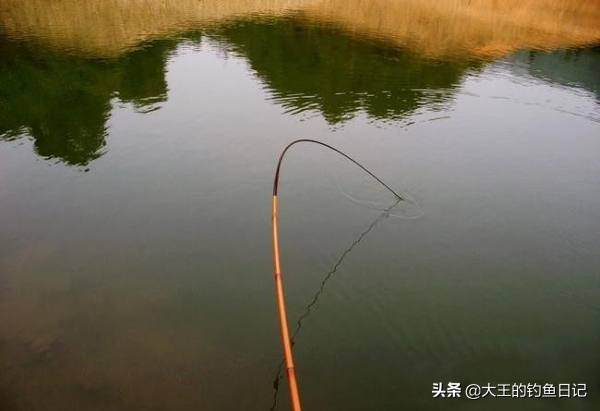 #头条钓鱼王#新钓友入门之五——鱼杆该如何选择？（夏季篇）