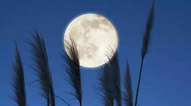 极致浪漫的古诗句,云淡风轻诗句古诗