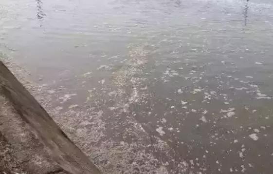 水产有机质过多有什么危害,养殖场有机质多怎么办