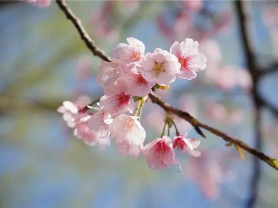 春季金石滩旅游,五一金滩旅游攻略