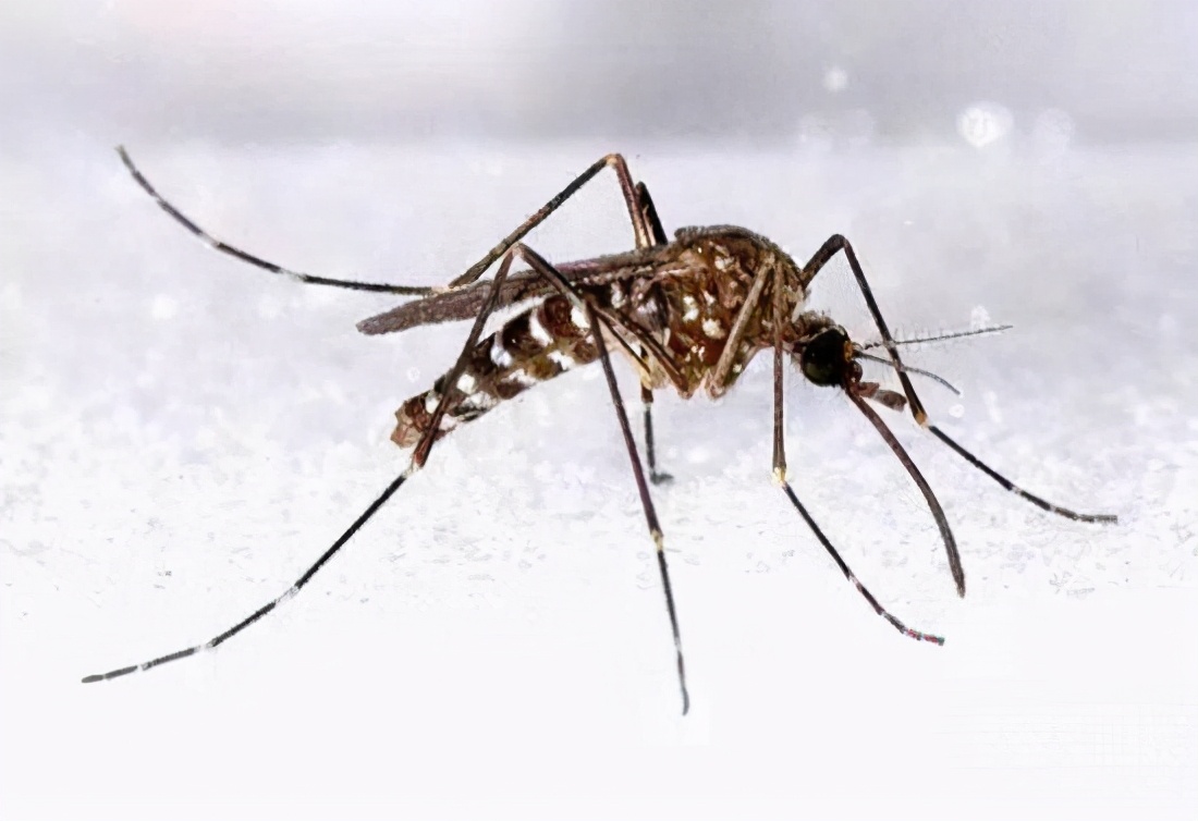 复眼科技将改变未来的战争