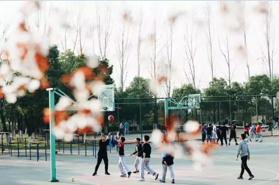 在大厂工作是种什么体验,生活在大厂是种什么样的体验