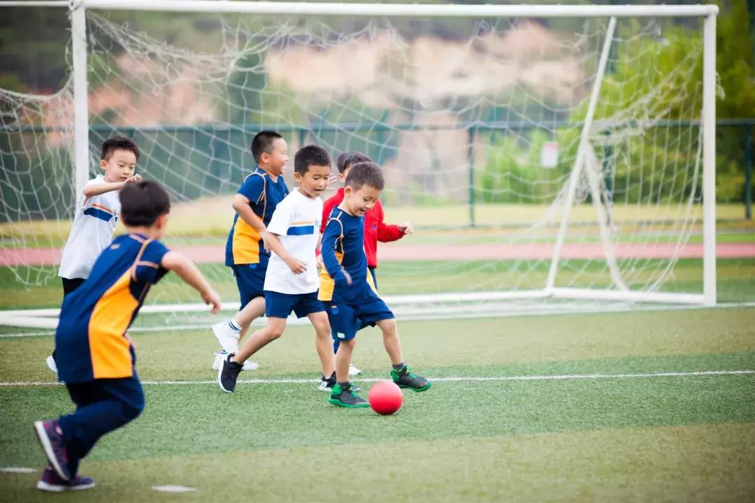 「免费探校」在耀华，学习成长为更好的自己！