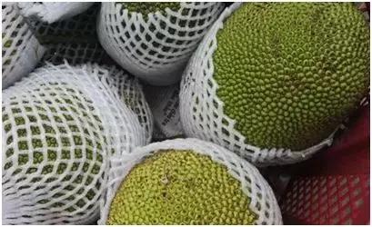 农田冷门养殖致富项目有哪些,赚钱新项目养殖