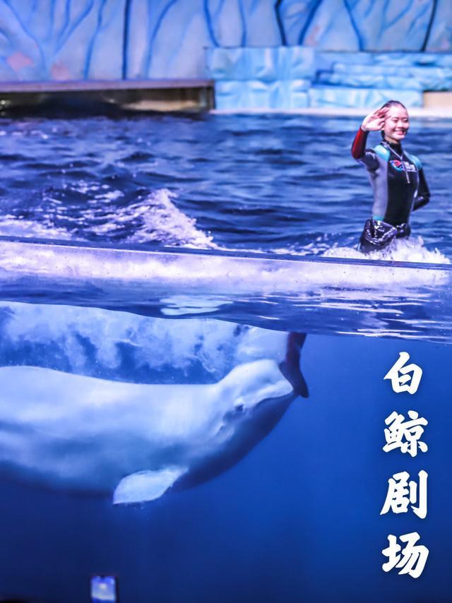 珠海亲子游必玩景点,珠海一日游适合带孩子玩的景点