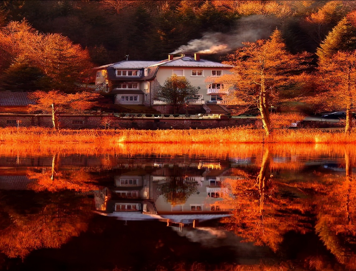 交易中的假象,本次交易存在欺诈行为如何解决