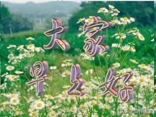 早安大家好祝福语图片,清晨问候朋友的早安祝福语美图