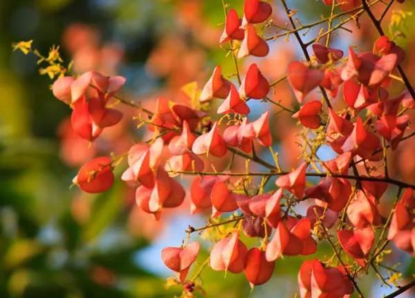 绉嬫棩绗旇鐩存挱,绉嬫棩绗旇