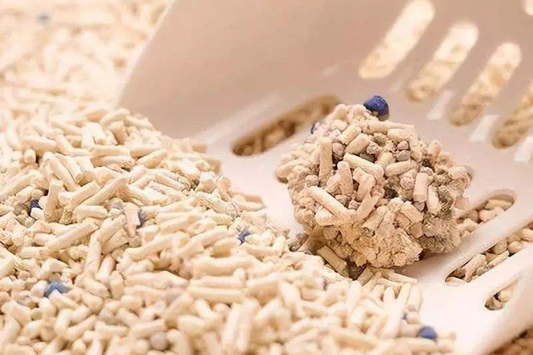 猫咪为什么不爱喝盆里的水,猫咪为啥不爱吃冻干