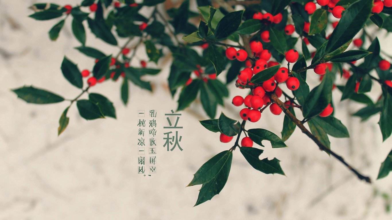 二十四节气之立秋手抄报,二十四节气之立秋茅台