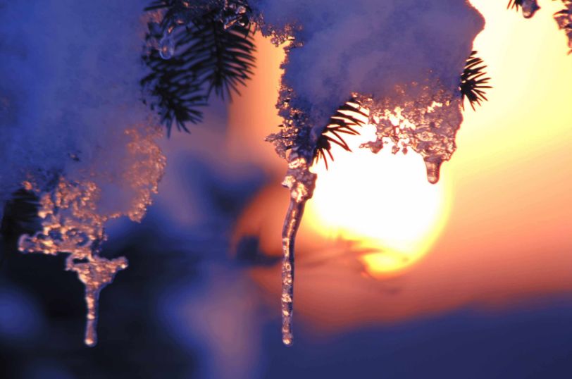 古诗词春雪,古诗鉴赏春寒