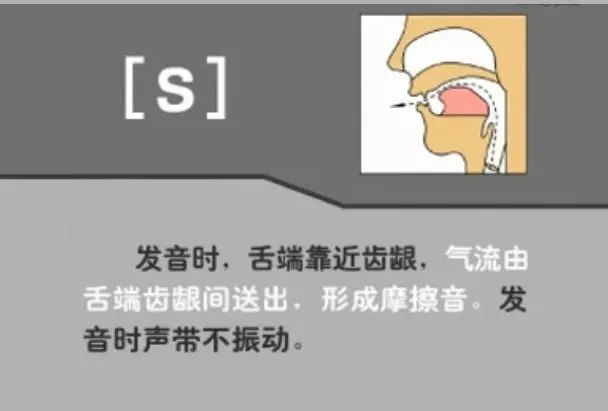 英语音标发音表48个音标正确读法,英语干货48个音标快速记忆法下