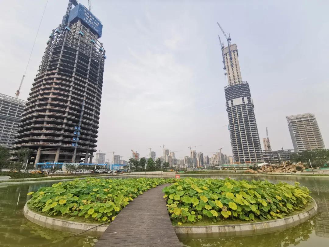 济南再添网红打卡地,济南又添网红打卡地