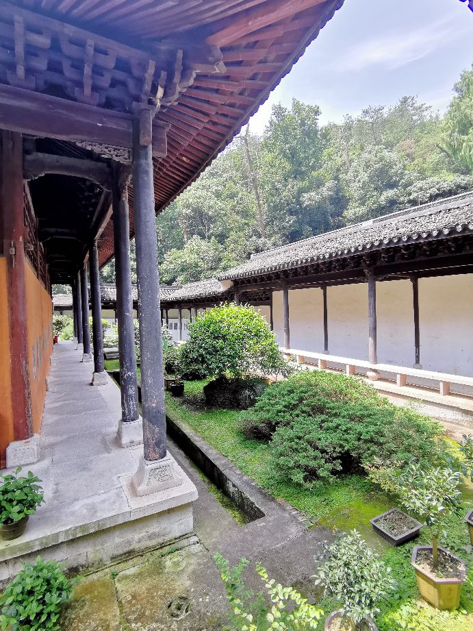 浙江观后感300字,关于浙江天台风景的作文