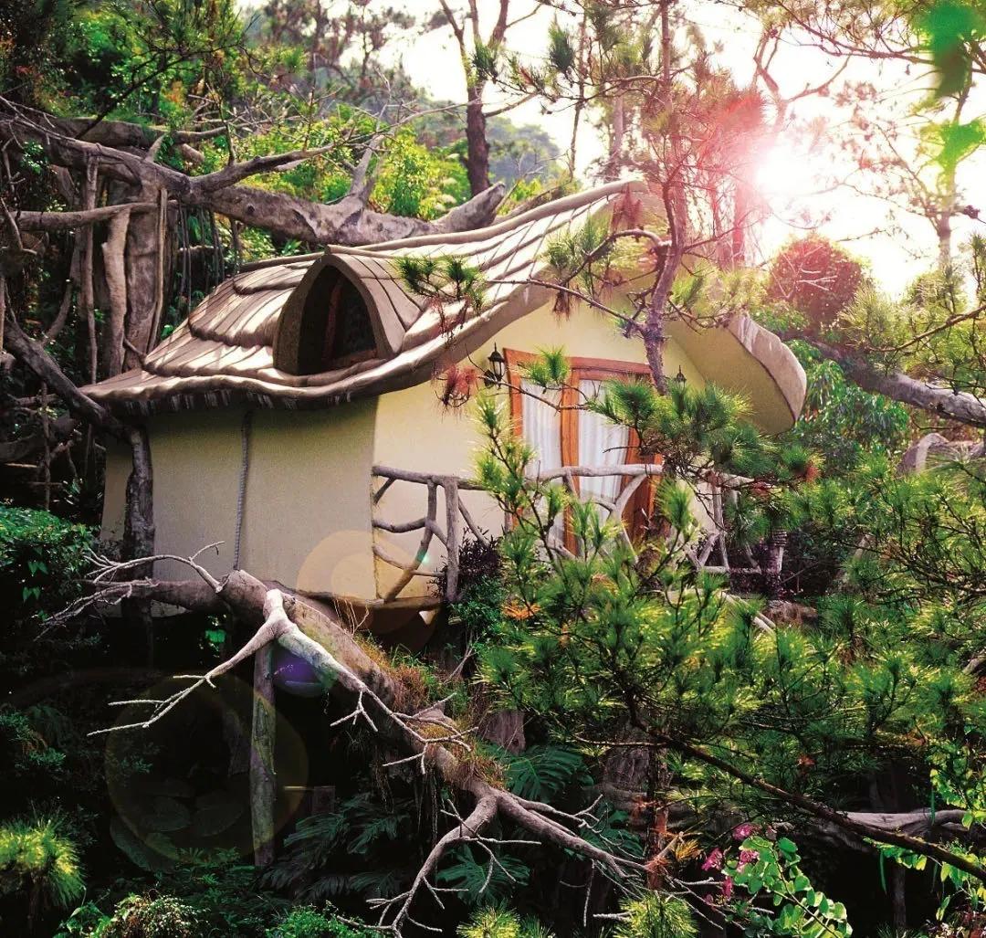 此心安处是吾乡21预告,此心安处是吾乡全季