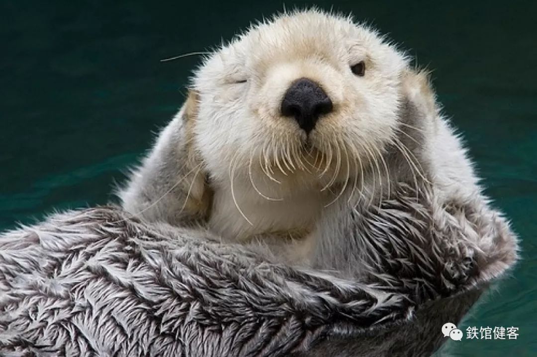 睡好觉才能更好,睡好觉才能神清气爽