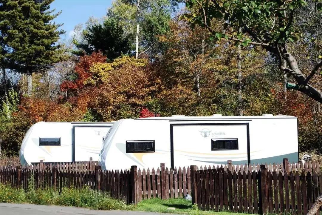 假期逛景区一大波优惠等着您,景点优惠活动视频