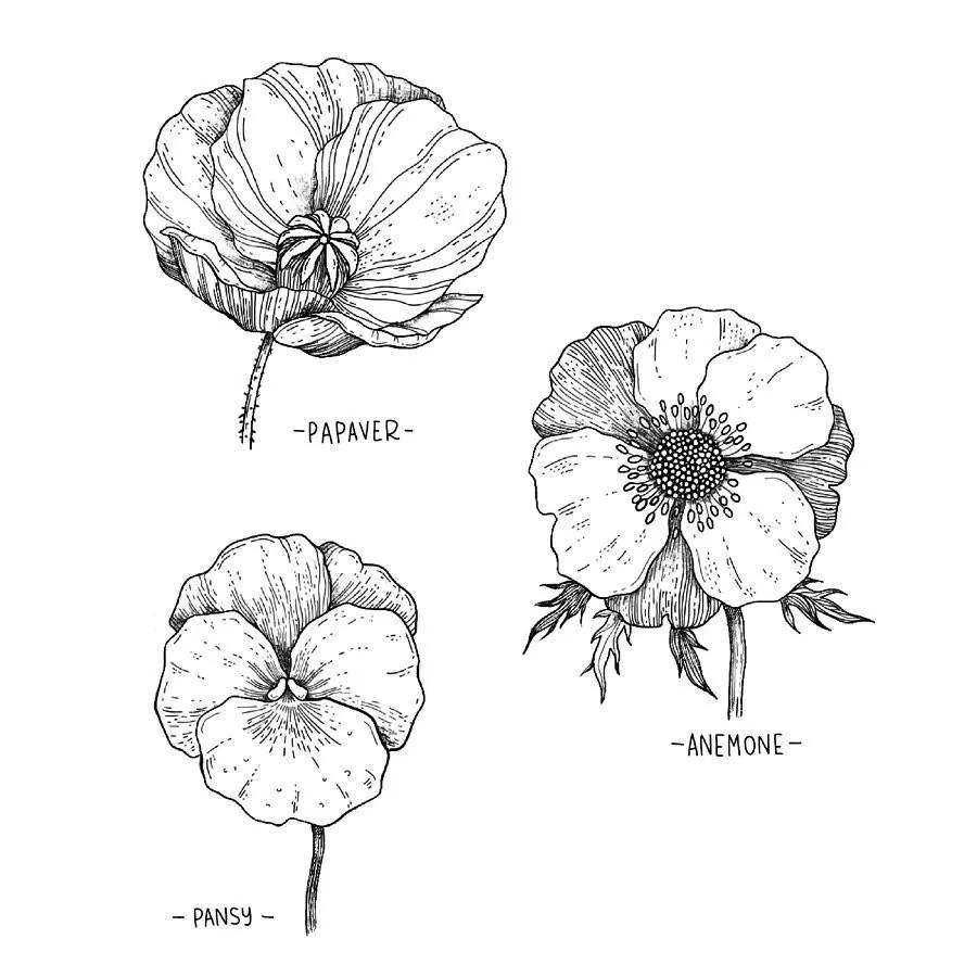 一看就懂的针管简笔画,针管笔入门手绘1000例临摹图