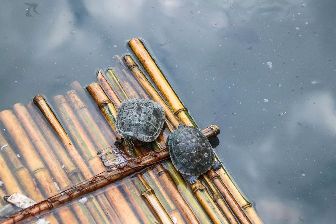 泉州祈福寺庙,泉州祈福圣地在哪里