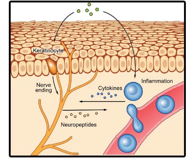 为什么有些人那么喜欢挠痒痒？