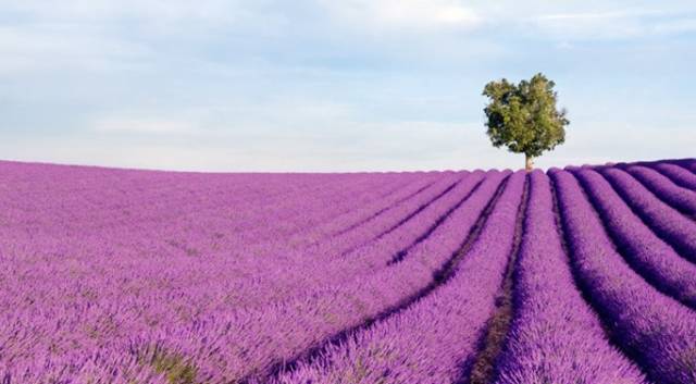 长沙身份证430102,长沙42开头的身份证
