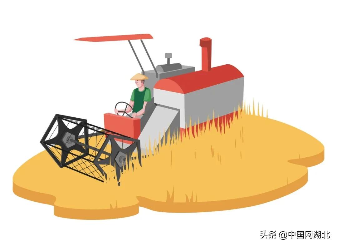 咸宁市2018年各地区gdp,咸宁2023年各县市区Gdp排名