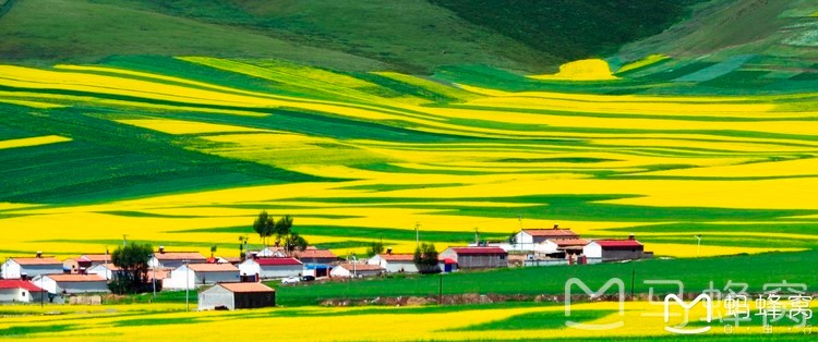 西北大环线六日游自驾攻略,西北大环线张掖出发5日自驾游