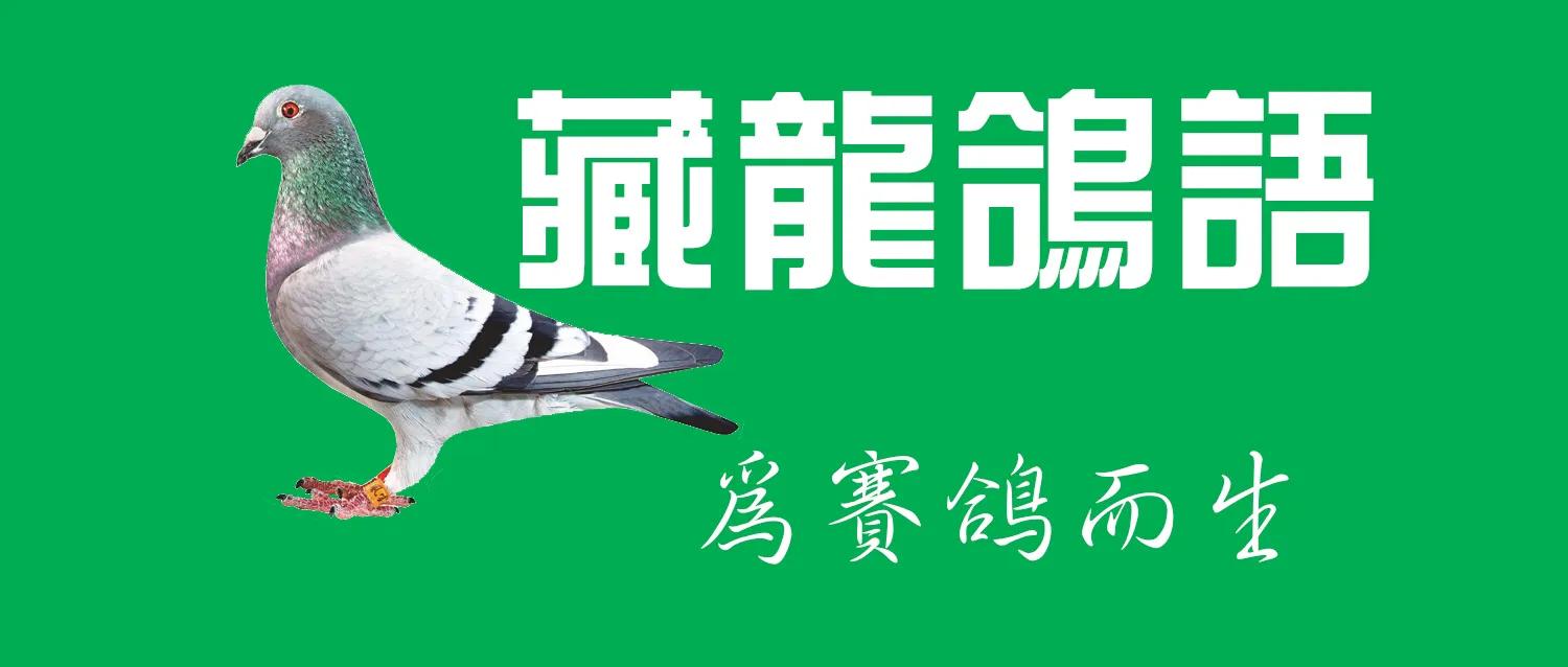 累积航段和里程有什么用,累计跑步多少公里可以跑完马拉松
