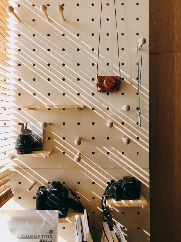 年轻人一人一猫的独居生活,一屋一人一猫的生活视频