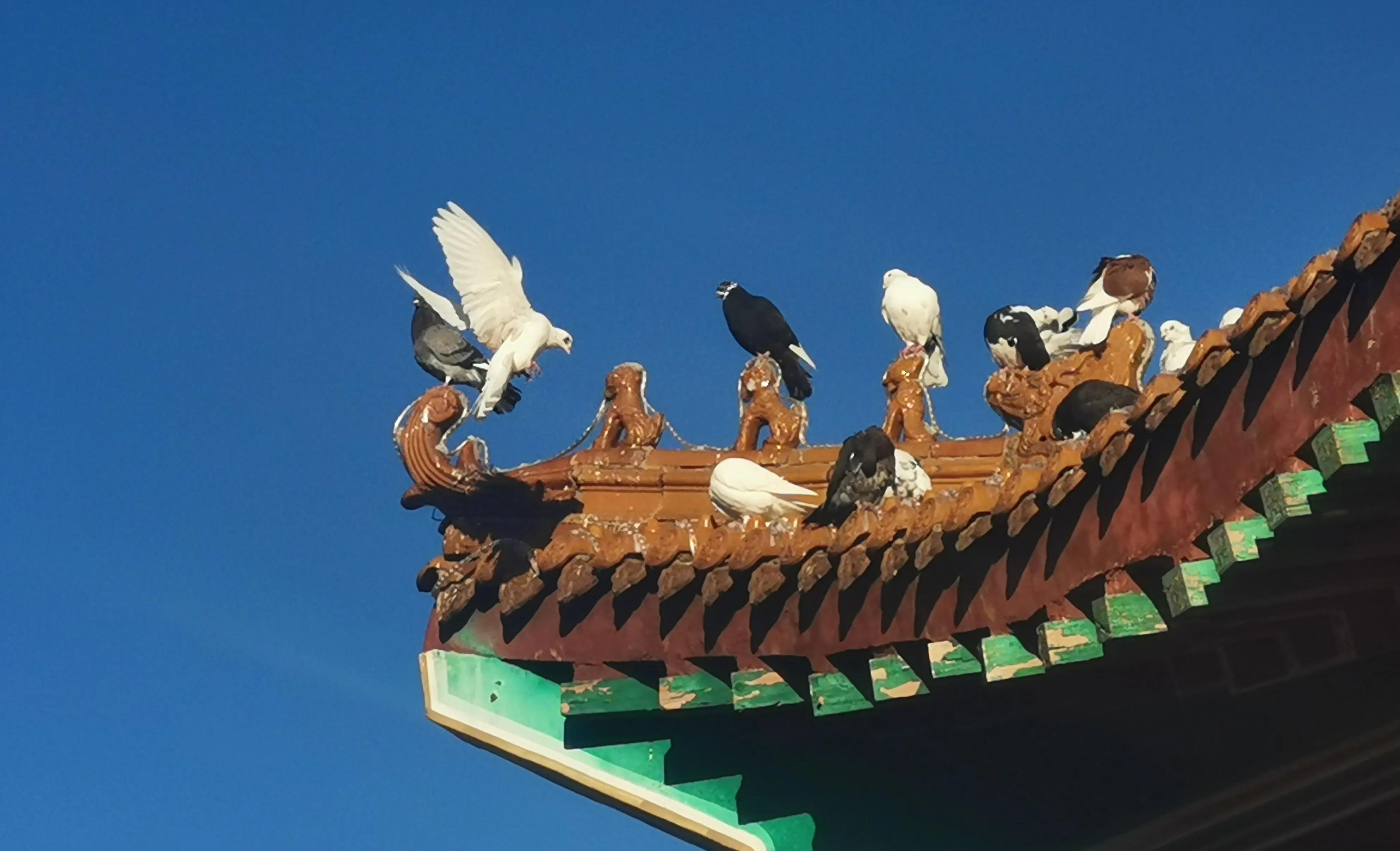 帝都最值得去的地方,帝都温泉度假村有什么项目