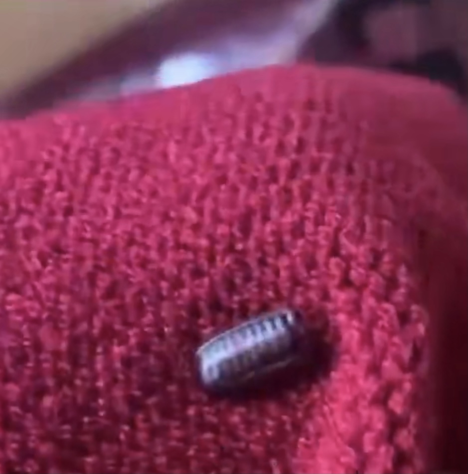 快递里发现蟑螂卵,女子网购衣服发现有蟑螂卵