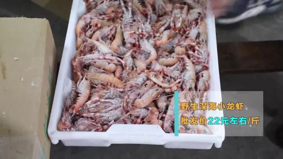 过年必囤的海鲜,过年买什么样的海鲜最有逼格