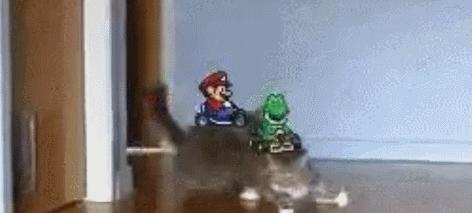 玩《马力欧卡丁车实况：家庭赛车场》前，你问过你家猫咪了吗？