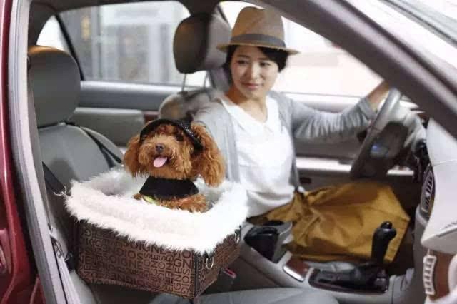 狗狗晕车怎么办最有效方法,狗狗晕车怎么克服